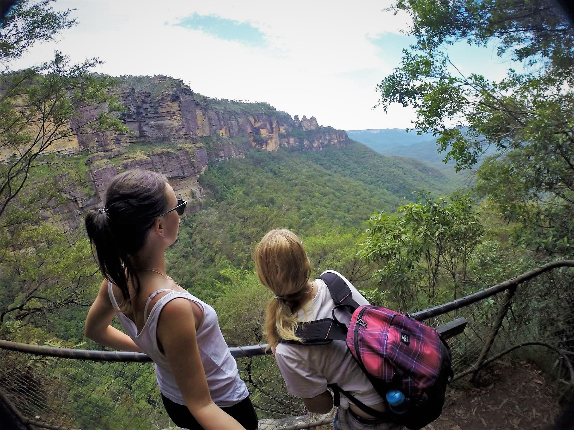 one day in blue mountains