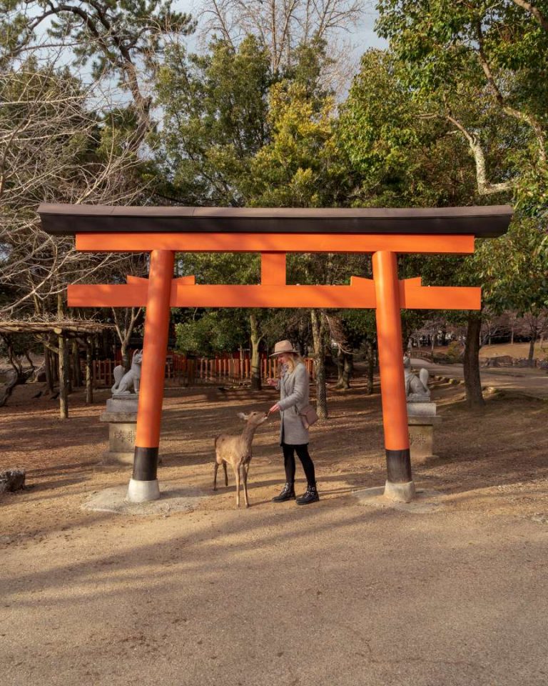 One day in Nara