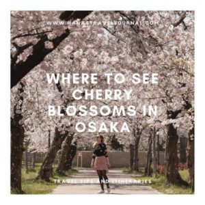 Where to See Cherry Blossoms in Osaka