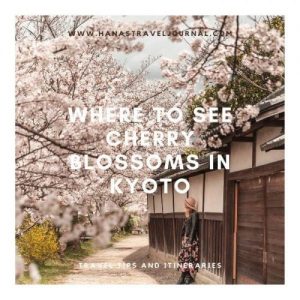 Where to See Cherry Blossoms in Kyoto