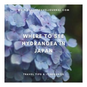 Where to See Hydrangea in Japan – Kansai Area