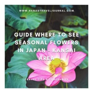 Ultimate Guide to Seasonal Flowers in Japan – Kansai Area
