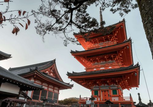 Top things to do in Kyoto