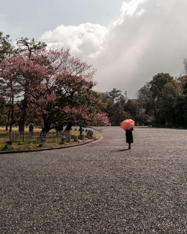 Top things to do in Kyoto