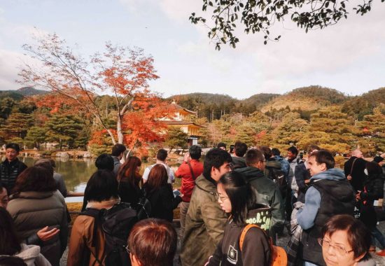 best things to do in Kyoto on a first time visit