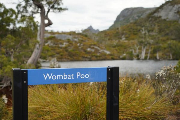 tasmania roadtrip itinerary