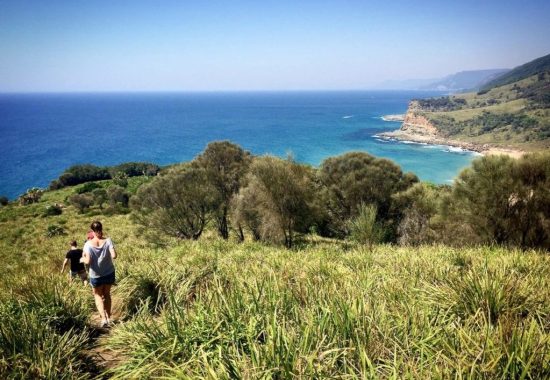 one day in royal national park