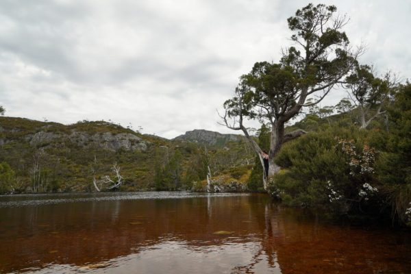 tasmania roadtrip itinerary